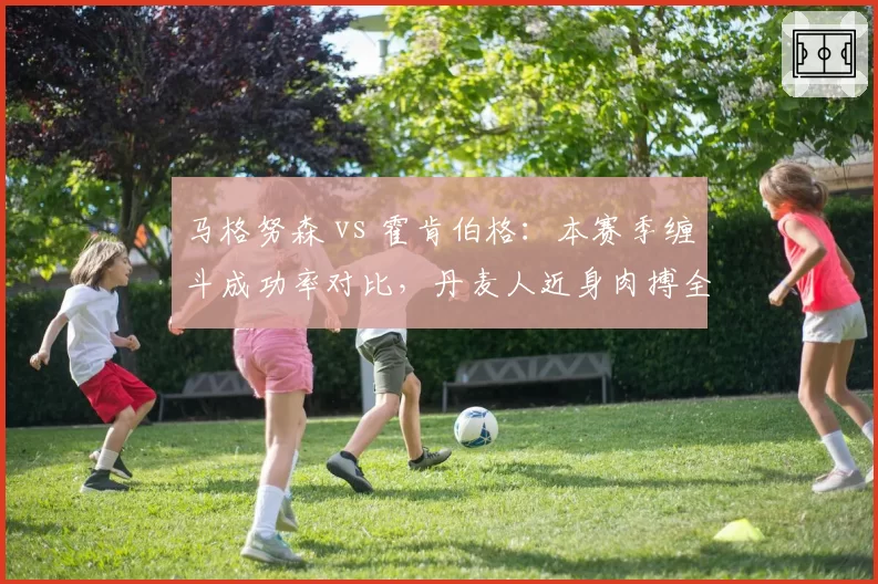 马格努森 vs 霍肯伯格：本赛季缠斗成功率对比，丹麦人近身肉搏全面占优